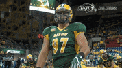 north dakota state football GIF by NDSU Athletics