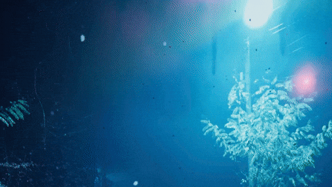 Stranger Things Netflix GIF by Dimensional X Studios