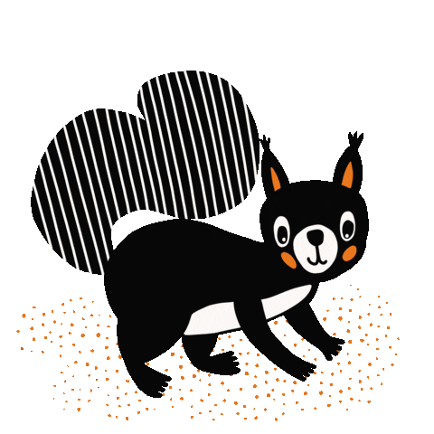 grafikstaeblein giphyupload autumn squirrel blackandwhite Sticker