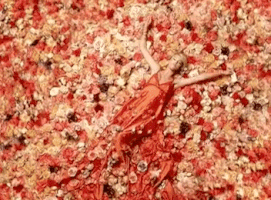our song GIF by Taylor Swift