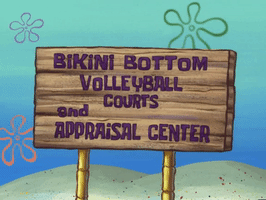 season 6 porous pockets GIF by SpongeBob SquarePants