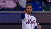 Francisco Lindor Point GIF by New York Mets