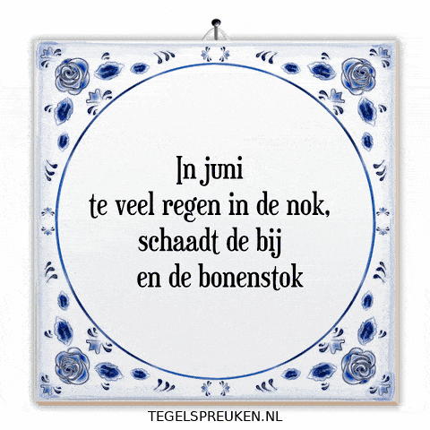 Humor Nl GIF by Tegelspreuken.nl