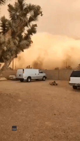 'Fascinating and Terrifying': Dust Storm Rolls Over Arizona Home