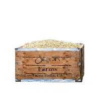Vegan Protein Sticker by Setton Farms