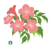 Spring Sticker by Starbucks APAC