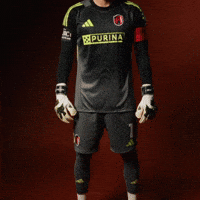 Roman Burki GIF by St. Louis CITY SC