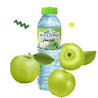 apabucovina bucovina bucovinafructata applebucovina Sticker