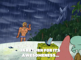 season 6 GIF by SpongeBob SquarePants