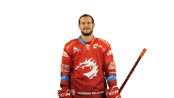 Ice Hockey Sticker Sticker by HC Oceláři Třinec