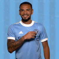Major League Soccer Reaction GIF by NYCFC