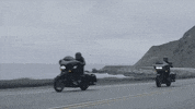 Brand Adventure GIF by Harley-Davidson