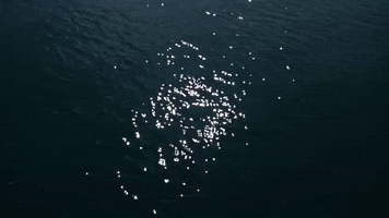 Water Mar GIF by jorgemariozuleta