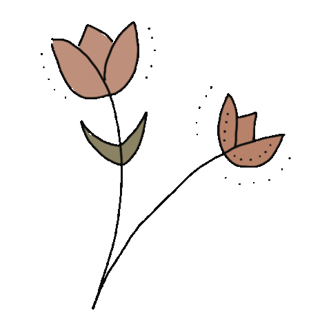 cajadetul flower plants flores tulip Sticker