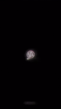 shabalifeclub shaba shabalifeclub GIF