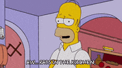 homer simpson episode 13 GIF