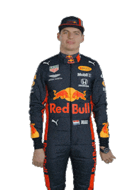Ver Red Bull Sticker by Oracle Red Bull Racing