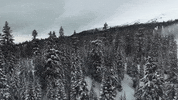 california GIF