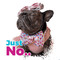 French Bulldog Sticker by Pimp Yo Pets