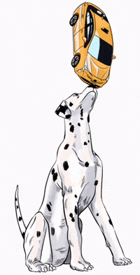 Dogs Taxi GIF by NYU Langone Health