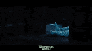 GIF by Signature Entertainment