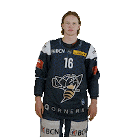 hcclachauxdefonds hockey 16 hcc ludovic Sticker