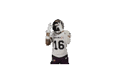 American Football Sticker by Frankfurt Galaxy