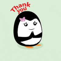 Thanks Thank You GIF