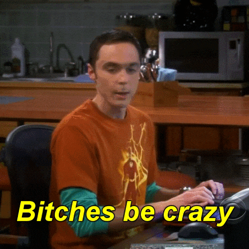 the big bang theory GIF