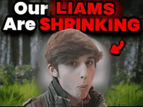 learnyourself giphygifmaker giphycreatortest liam brains GIF