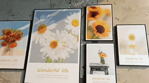 hongqun6894d1ceed6e40c294644a49e07a8274 giphyupload GIF