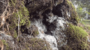 Art Video GIF by jorgemariozuleta