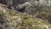 Art Video GIF by jorgemariozuleta