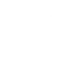 Visa Card Fly Sticker by Fampay India