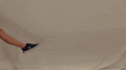 CUWFalcons cross country cuw GIF