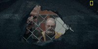 season 1 peeking GIF by National Geographic Channel