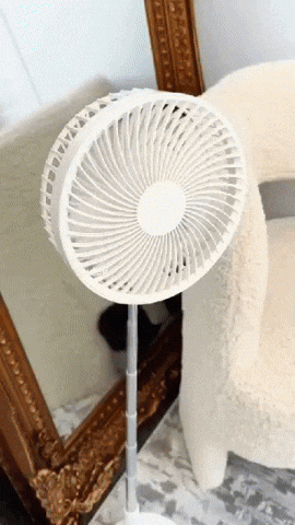 trendyfrik giphyupload GIF