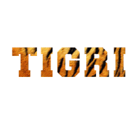 educaÃ§Ã£o Sticker by Tigrinhos e Golden Tigers