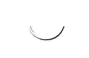 Savage Not Sorry Sticker by SAVAGE X FENTY