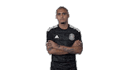 mexico national team football Sticker by MiSelecciónMX