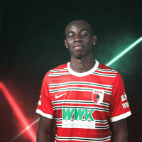 Bundesliga Hallo GIF by FC Augsburg 1907