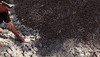 Rock Stone GIF by JC Property Professionals