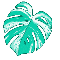 Stabbygabby mom plant leaf tropical Sticker
