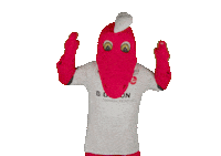 Handball Handballbundesliga Sticker by MT Melsungen
