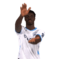 Football Soccer Sticker by Olympique de Marseille