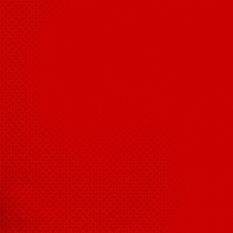 Bayer 04 Bundesliga GIF by Bayer 04 Leverkusen