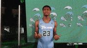 Basketball Wave GIF by GreenWave