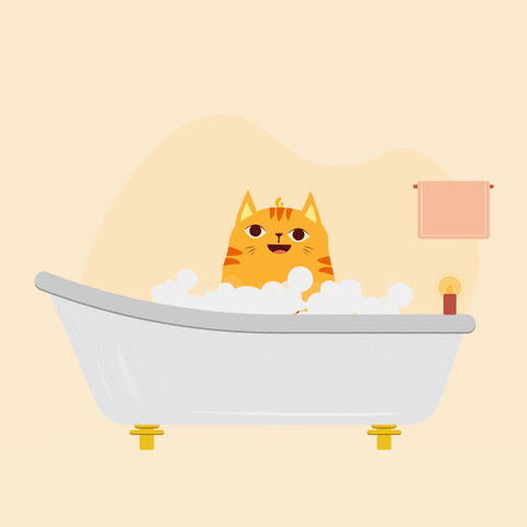 AboHashemArt giphyupload cat ginger GIF