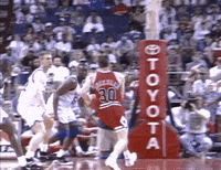 chicago bulls GIF