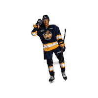 ottershockey ohl erie otters erie otters hockey otters hockey Sticker